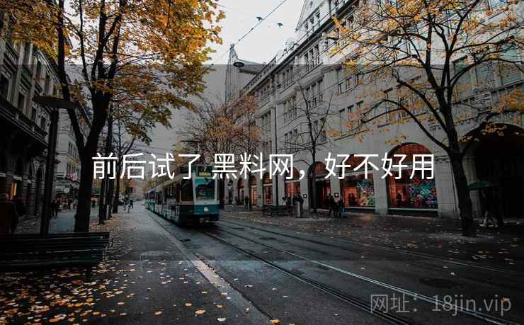 前后试了 黑料网，好不好用
