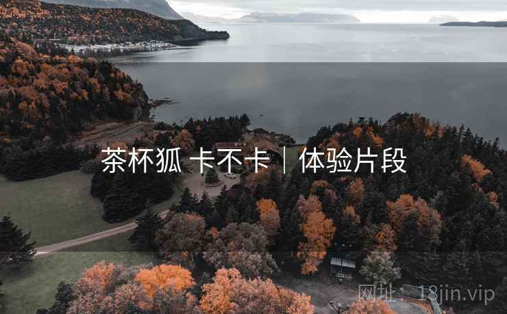 茶杯狐 卡不卡|体验片段 第2张 茶杯狐 卡不卡|体验片段 第2张