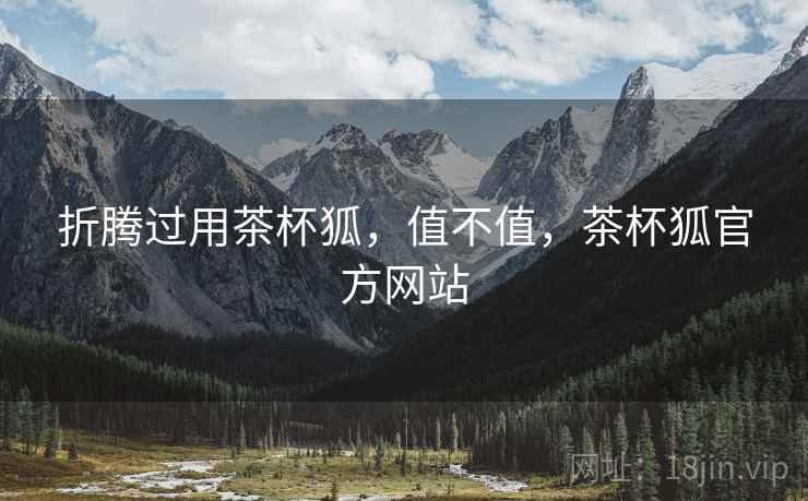 折腾过用茶杯狐,值不值,茶杯狐官方网站